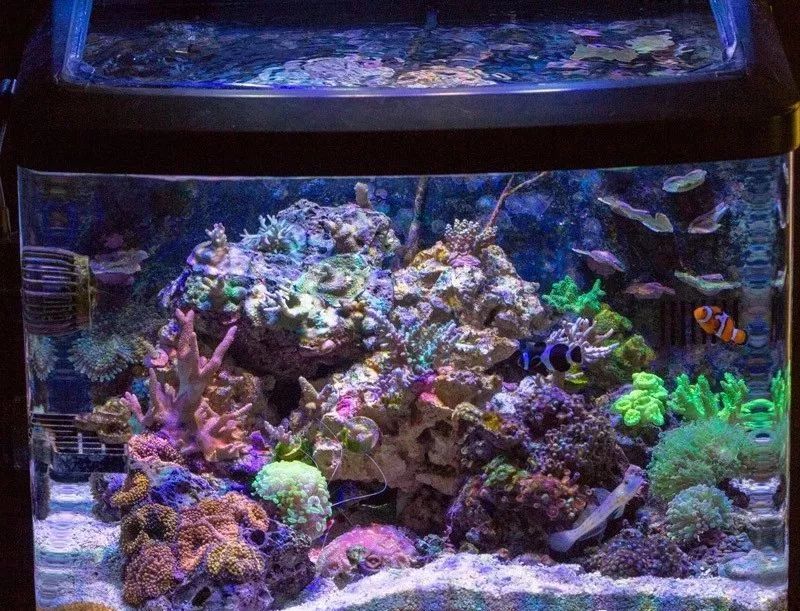 桌面微缸推荐,微缸展示