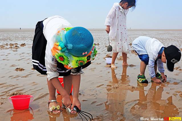 日照有哪些海滩可以免费赶海,在海边享受田园生活