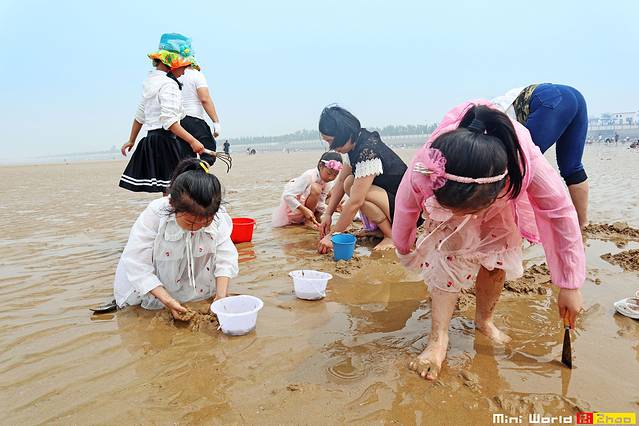 日照有哪些海滩可以免费赶海,在海边享受田园生活