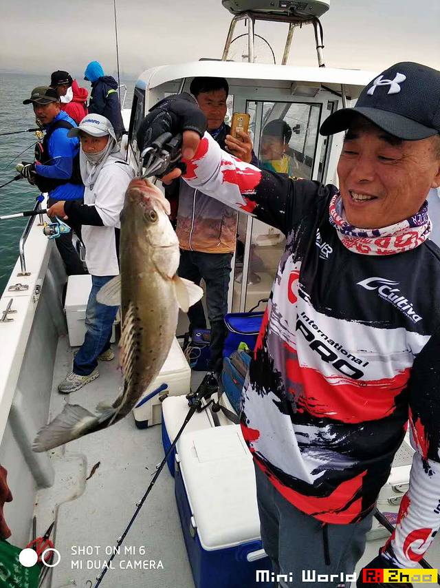 日照有哪些海滩可以免费赶海,在海边享受田园生活