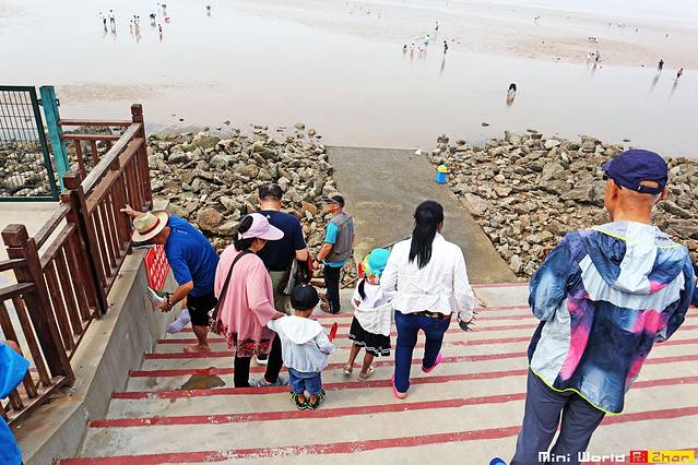 日照有哪些海滩可以免费赶海,在海边享受田园生活