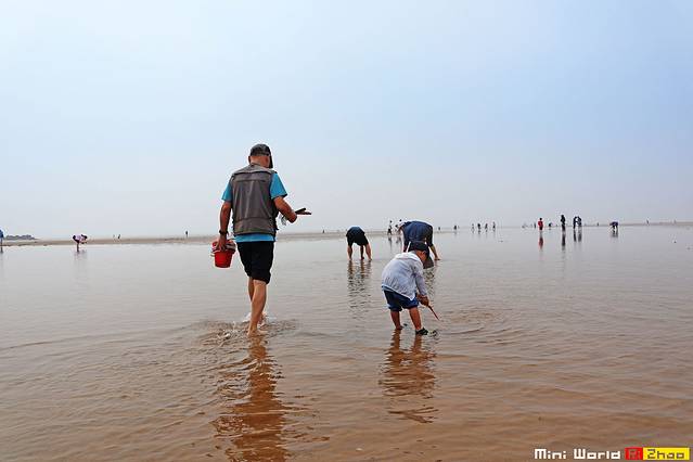 日照有哪些海滩可以免费赶海,在海边享受田园生活