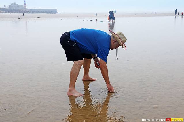 日照有哪些海滩可以免费赶海,在海边享受田园生活
