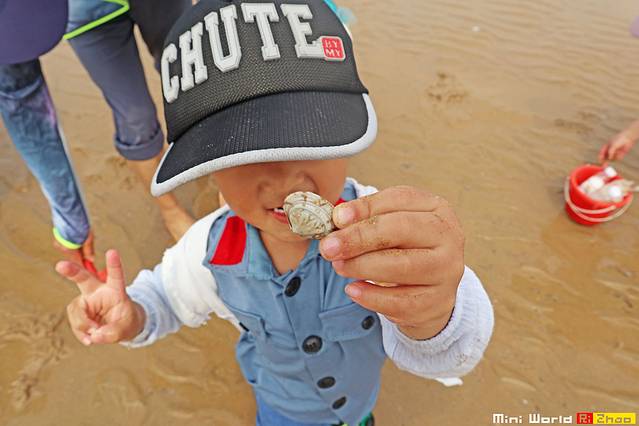 日照有哪些海滩可以免费赶海,在海边享受田园生活