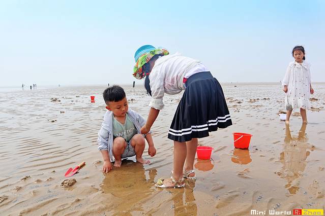 日照有哪些海滩可以免费赶海,在海边享受田园生活