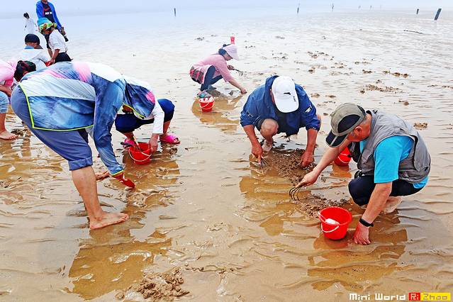 日照有哪些海滩可以免费赶海,在海边享受田园生活