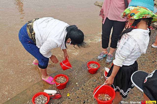 日照有哪些海滩可以免费赶海,在海边享受田园生活
