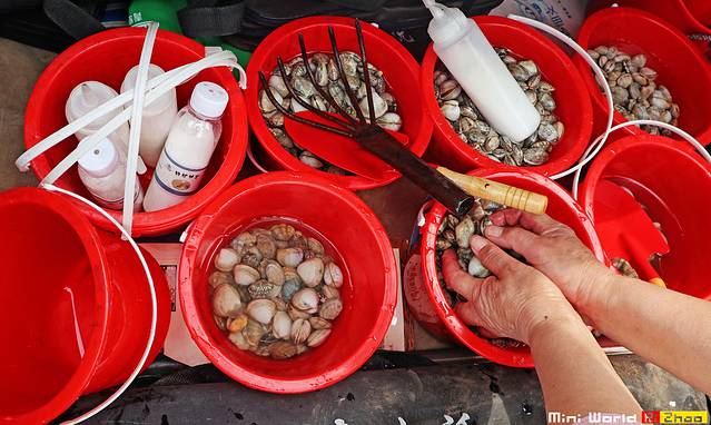 日照有哪些海滩可以免费赶海,在海边享受田园生活