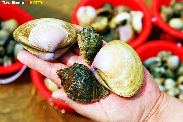 日照有哪些海滩可以免费赶海,在海边享受田园生活