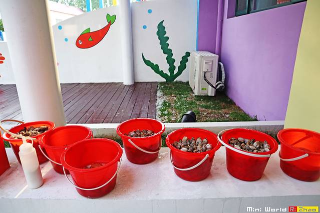 日照有哪些海滩可以免费赶海,在海边享受田园生活