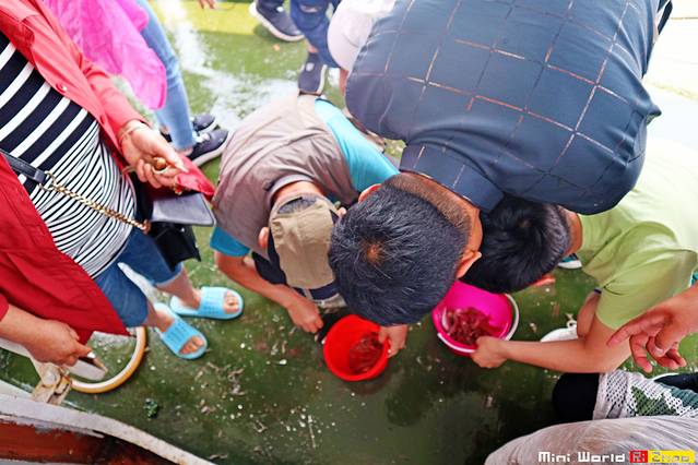 日照有哪些海滩可以免费赶海,在海边享受田园生活