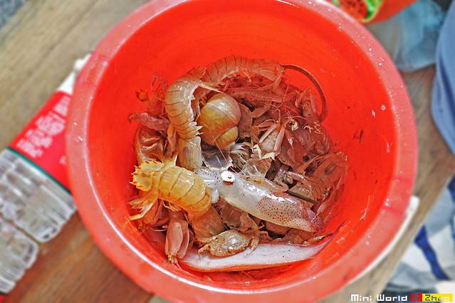 日照有哪些海滩可以免费赶海,在海边享受田园生活