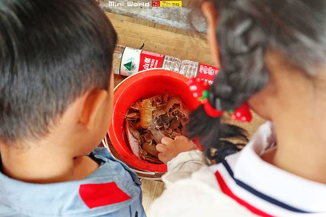 日照有哪些海滩可以免费赶海,在海边享受田园生活