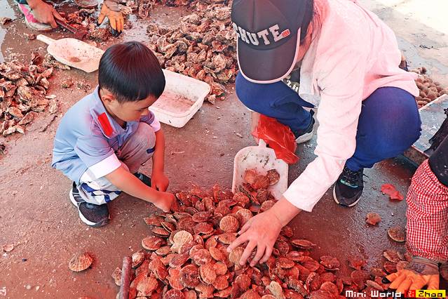 日照有哪些海滩可以免费赶海,在海边享受田园生活