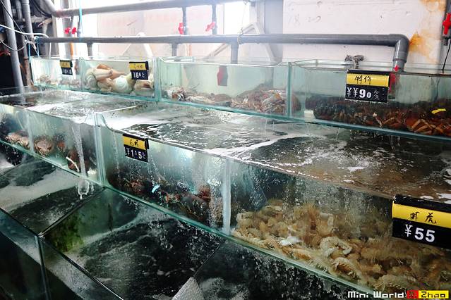 日照有哪些海滩可以免费赶海,在海边享受田园生活