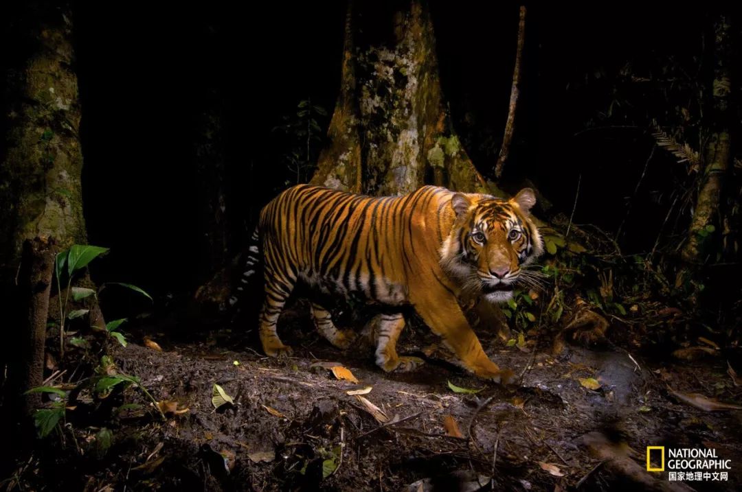 “谢谢你们，我们终于快死光了”