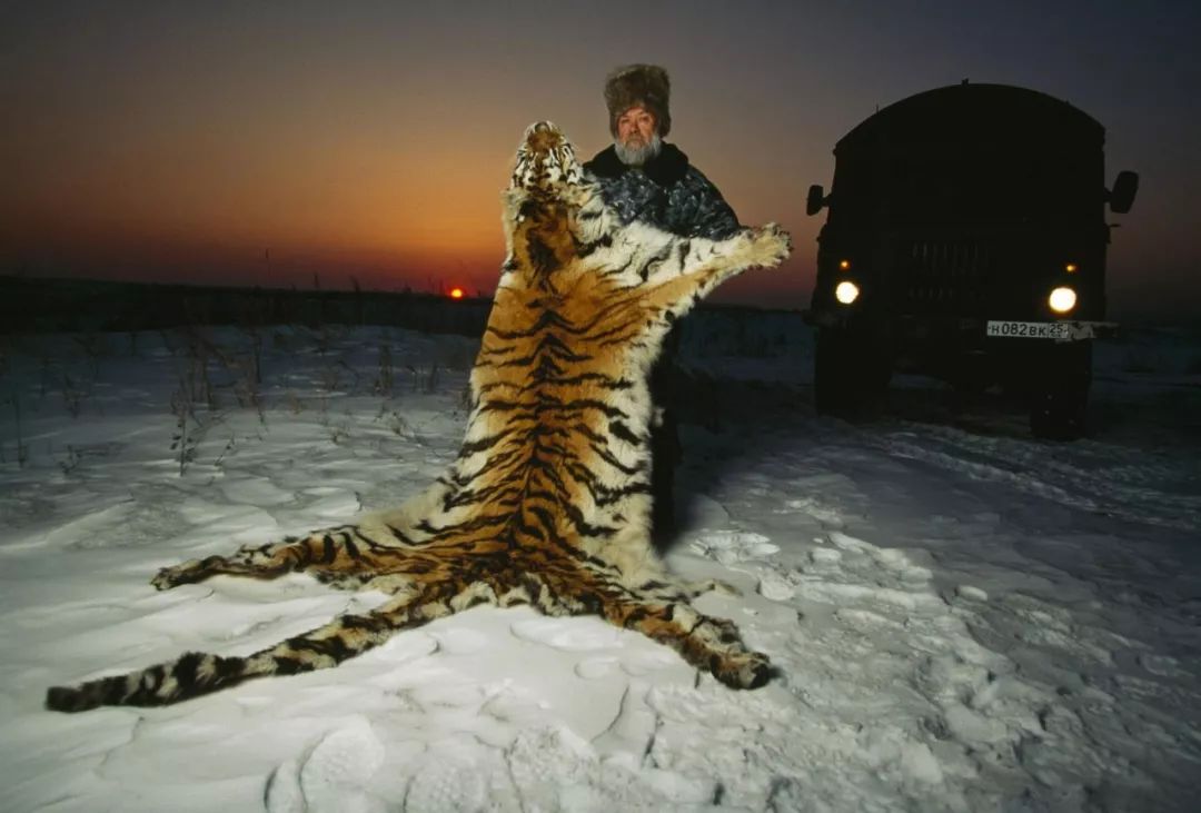 “谢谢你们，我们终于快死光了”