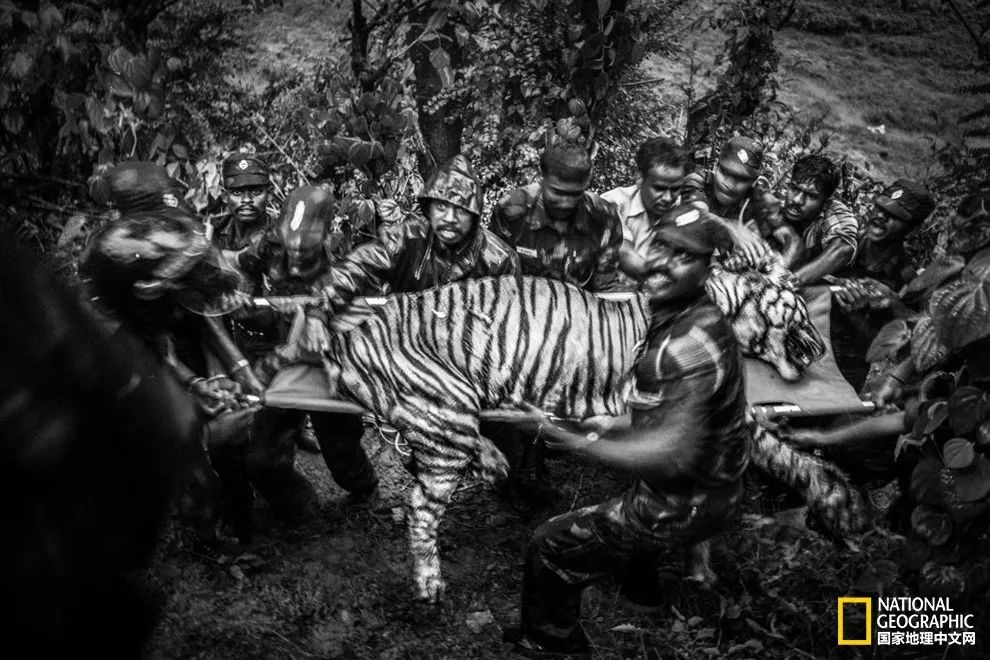 “谢谢你们，我们终于快死光了”