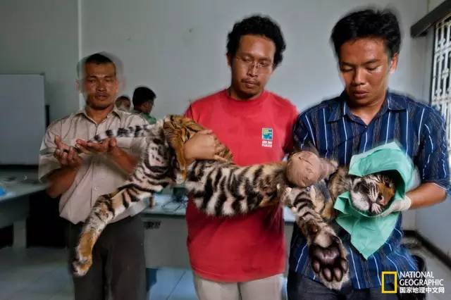 “谢谢你们，我们终于快死光了”