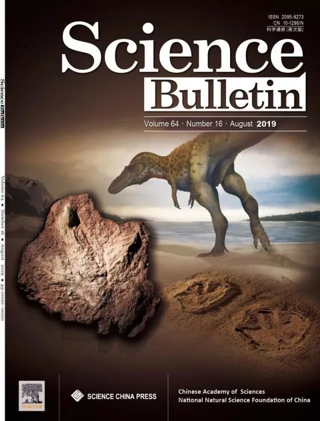 江西出土亚洲首例霸王龙足迹 (出土巨型霸王龙)