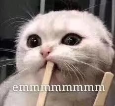 掌握10000词汇需要多久,快速学会1万单词