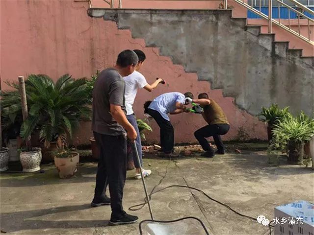 恶犬伤人民警处置,郯城疯牛出没民警果断处置