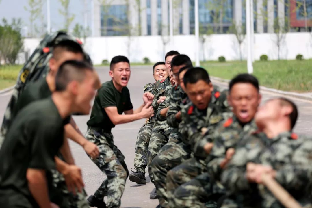 一线传真动态图,一线传真比武视频