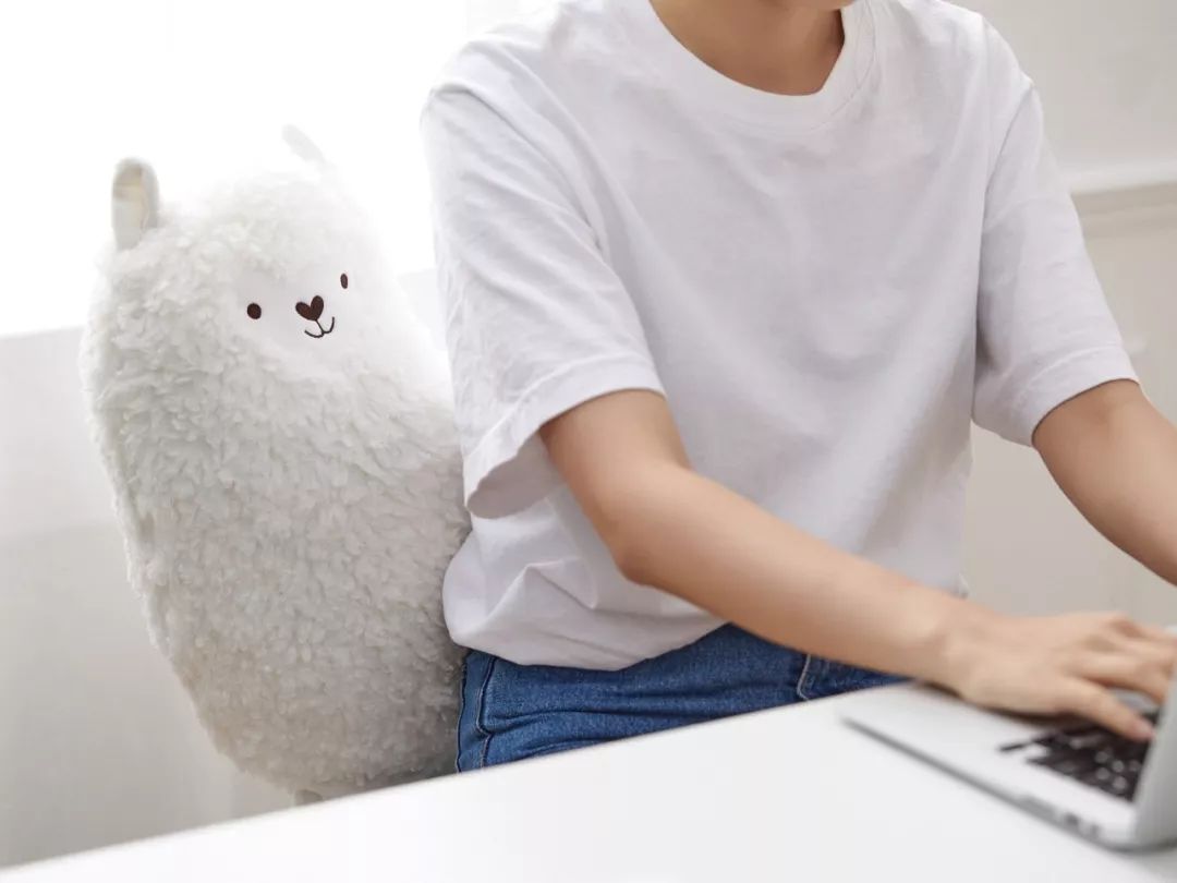 可爱按摩抱枕,超可爱动物抱枕一元十个