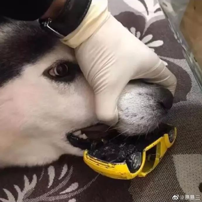 钢铁直男现场示范，如何做一个体贴的男人…哈哈哈哈哈哈哈哈