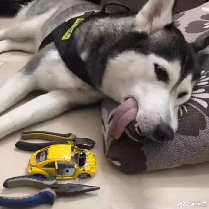 钢铁直男现场示范，如何做一个体贴的男人…哈哈哈哈哈哈哈哈