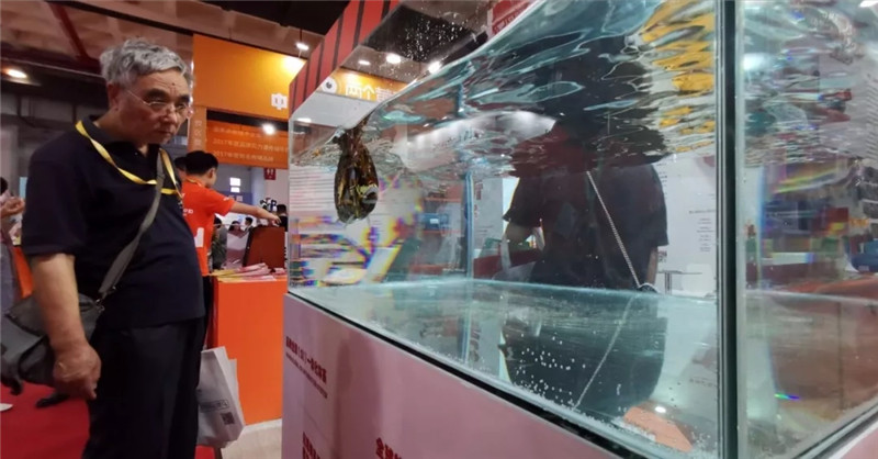 2017中国教育品牌加盟展,中国国际教育品牌连锁加盟博览会