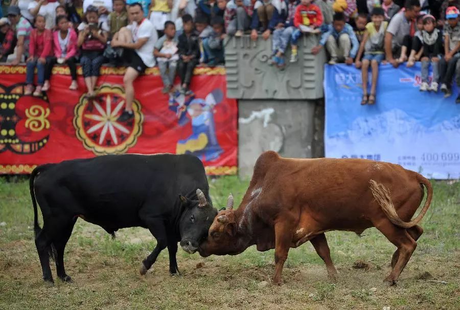 火把节独特的魅力,一年一度的火把节不能错过