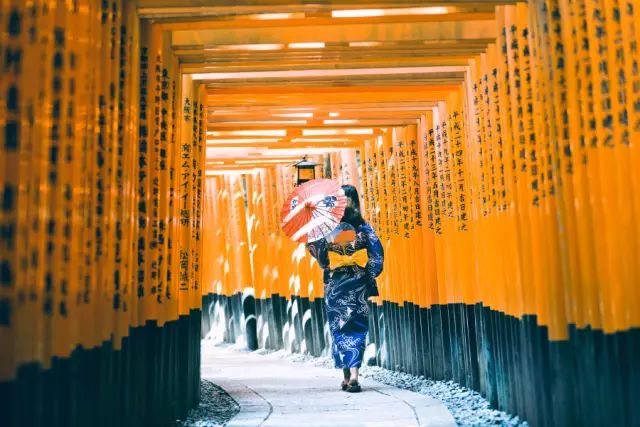 日本确定3月1日开放入境吗,日本开放办理工作签证的最新消息