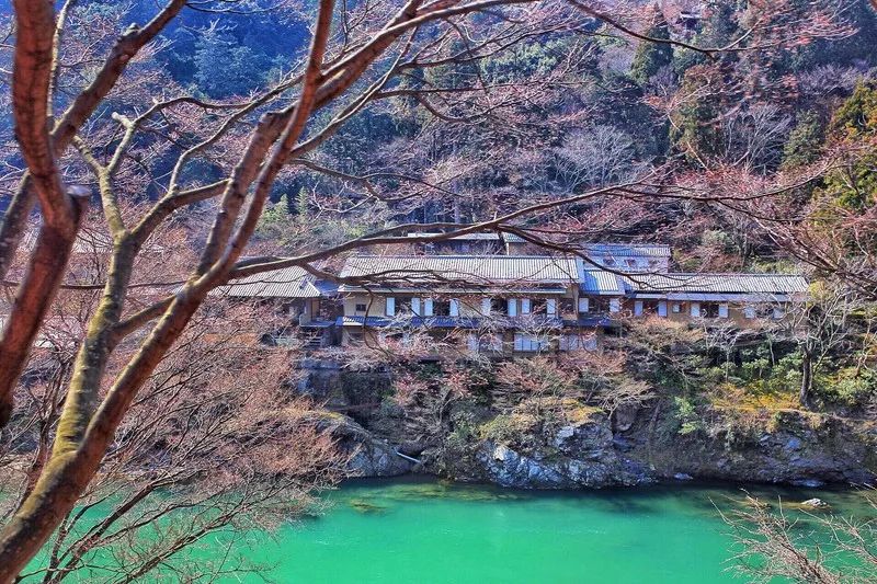 日本确定3月1日开放入境吗,日本开放办理工作签证的最新消息