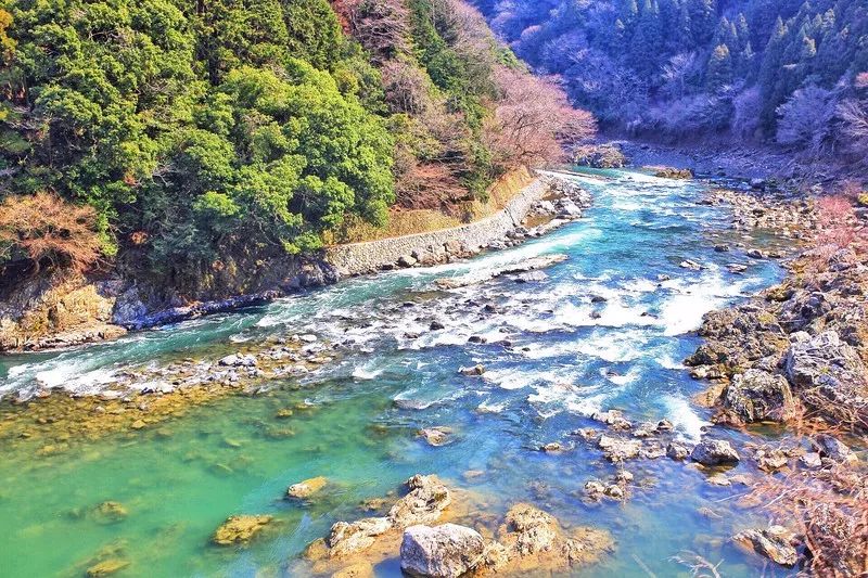 日本确定3月1日开放入境吗,日本开放办理工作签证的最新消息