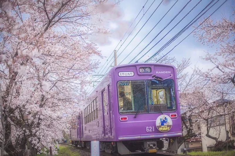 日本确定3月1日开放入境吗,日本开放办理工作签证的最新消息