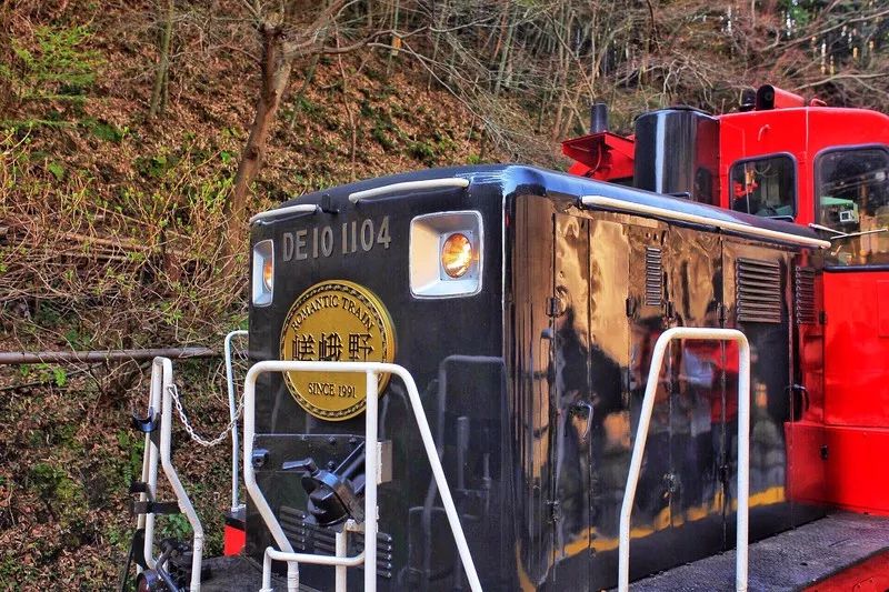 日本确定3月1日开放入境吗,日本开放办理工作签证的最新消息