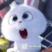 彩虹预报准确率,彩虹预报准确率是多少