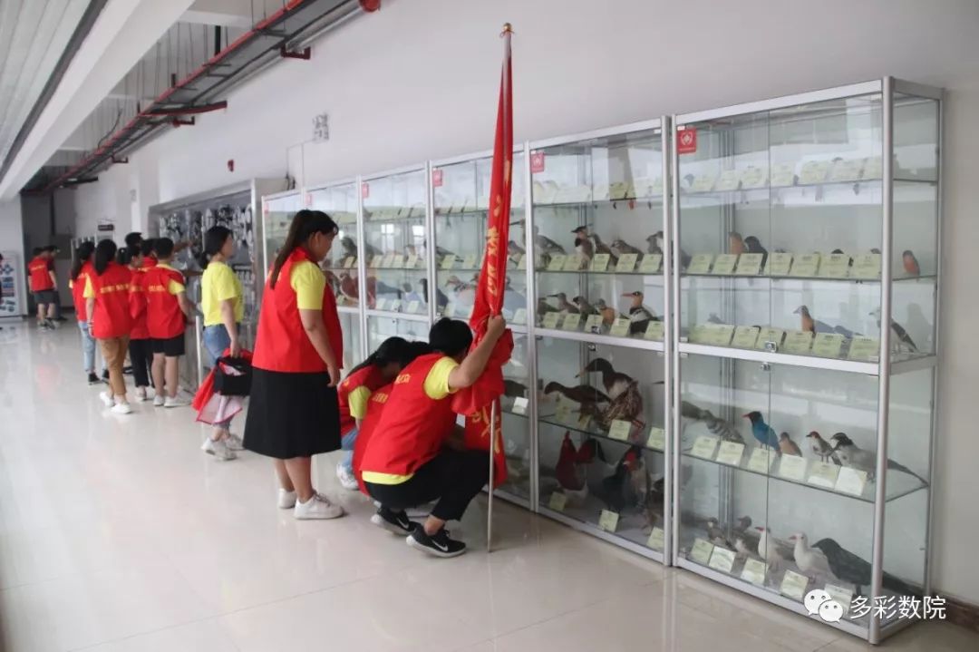 新时代文明实践活动走进松阳社区,新时代文明实践进学校