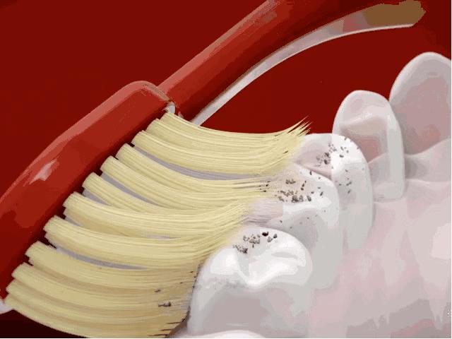 闪购|买网红亲子款牙刷，和宝宝一起打响牙齿保卫战