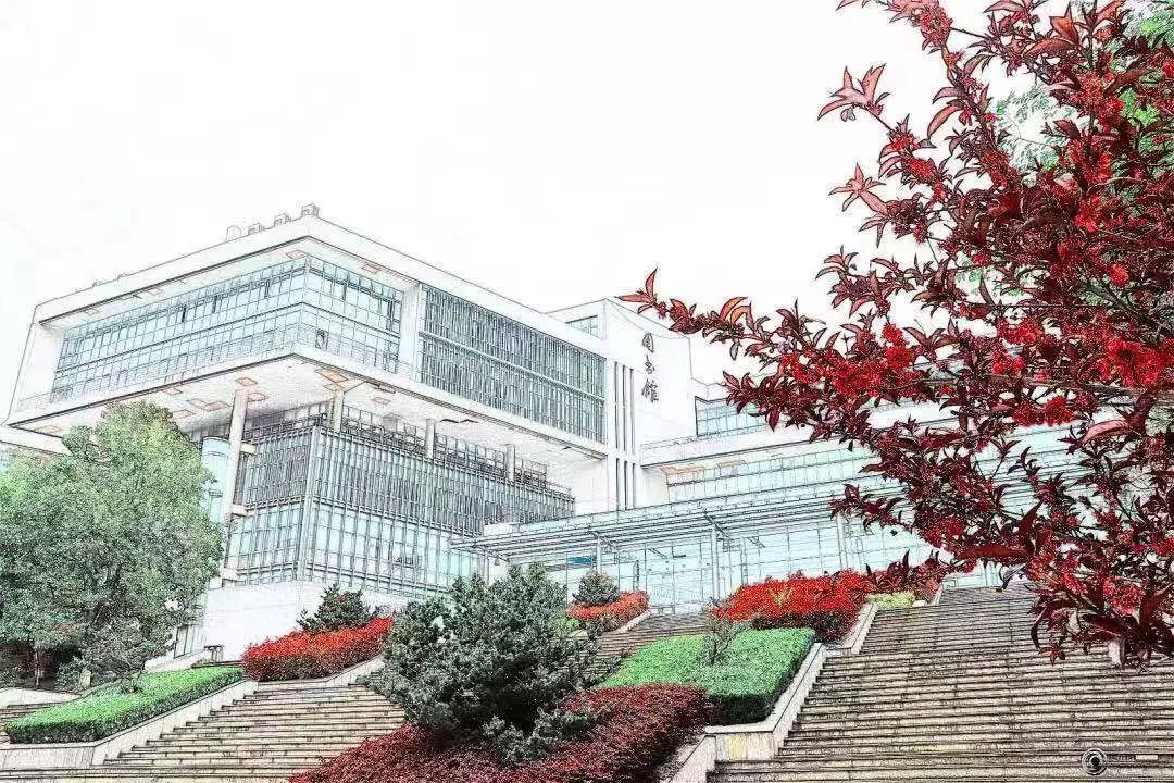 2019高招录取工作顺利结束,各校招生录取情况