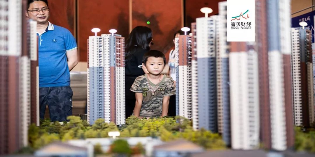 雪贝的故事,雪贝的精彩故事