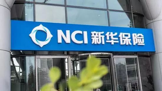 雪贝的故事,雪贝的精彩故事