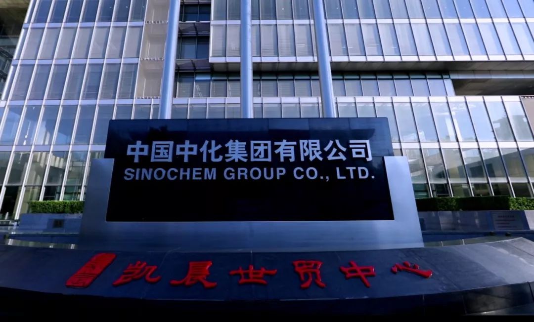 雪贝的故事,雪贝的精彩故事