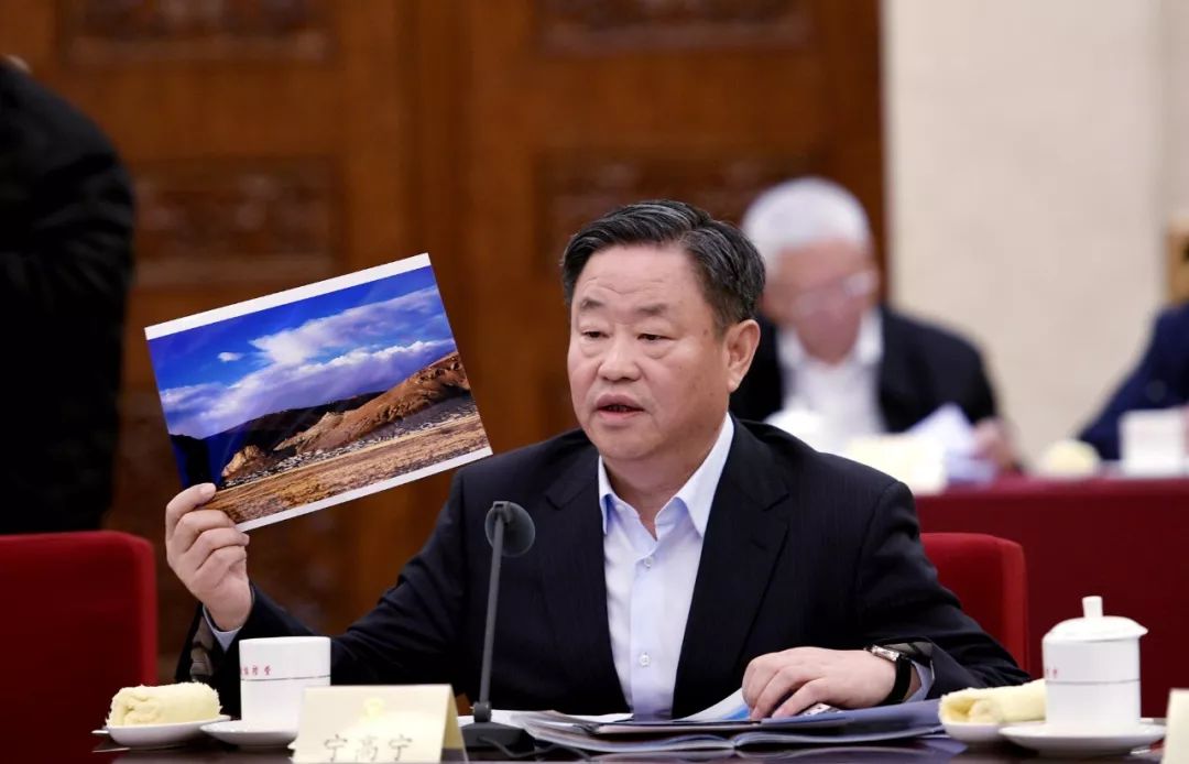 雪贝的故事,雪贝的精彩故事