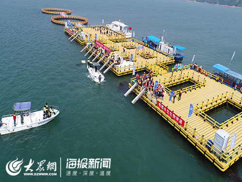 海洋人工造礁海洋牧场,海中农场