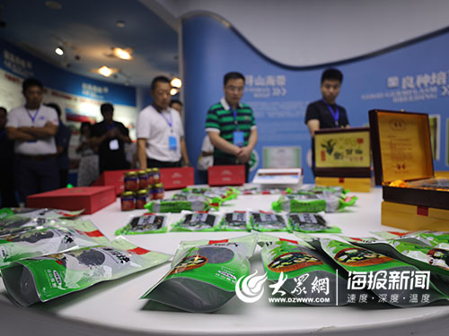 海洋人工造礁海洋牧场,海中农场