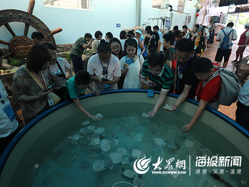 海洋人工造礁海洋牧场,海中农场