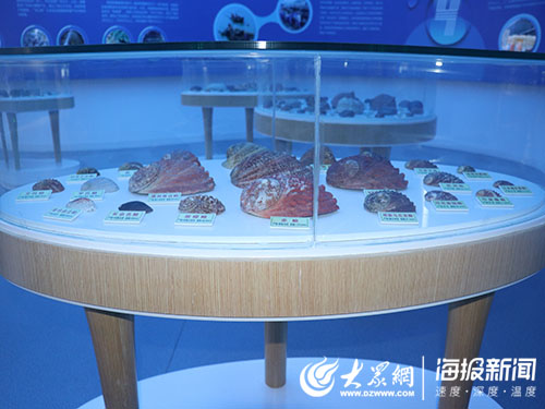 海洋人工造礁海洋牧场,海中农场