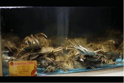 1元/只海白虾，2.8元/只鲍鱼，3.8元/只碳烤生蚝！啤酒喝一瓶还送一瓶！这家人气平价海鲜火锅老店让你嗨翻整个今夏